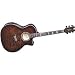 Dean Exotica Quilted Maple Acousticic/Electric Cutaway Guitar, Tiger Eye