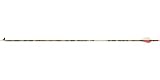 1 Dozen Gold Tip Expedition Hunter Realtree APG Arrows with HP Vanes
