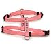 Aspen Pet 3/8 Single Ply Nylon Adjustable Dog and Cat Harness