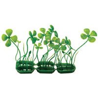 Four Leaf Clover - 3 in. - Buy Four Leaf Clover - 3 in. - Purchase Four Leaf Clover - 3 in. (Penn Plax, Home & Garden, Categories, Pet Supplies, Fish & Aquatic Pets, Aquarium Accessories, Decor, Plastic Plants)