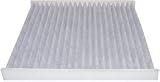 Hastings AFC1310 Cabin Air Filter
