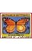 Monarch Butterfly