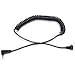 Paramount 5' Coiled Sync Cord, Sunpak to PC