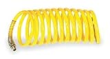 Speedaire 1VEH9 Coiled Air Hose, 1/4 In ID x 50 Ft, Nylon