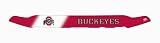 EGR 302350OSU Ohio State Buckeyes Collegiate Shield