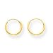 14k EndleSterling SilverHoop Earrings