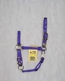 Hamilton Deluxe 1 Nylon Horse Halter with Adjustable Chin and Throat Snap, Purple, Large (1100-1600 lbs)