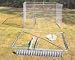 Pet Supplies : Box Dog Kennel 10 x 10 x 6