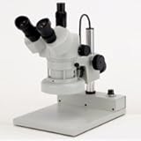 �J�[�g�� �Y�[�����̌����� DSZT-70IFL 20�{�`70�{