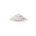 Nature's Ocean Marine White Sand Premium Marine Substrate