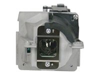 Replacement Lamp 3000 Hours IN72 IN74 IN76