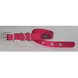 Dog Collar, 5/8" x 14" Pink