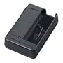Charger for NP-50 Battery