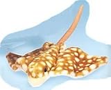 Plush Beige Spotted Eagle Ray 14