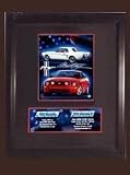 Old and New Mustangs Driver Stat Series