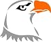 Tattoo Stencil - Eagle - #L47