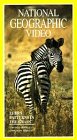 Nat'l Geo: Zebra Patterns in Grass [VHS] [Import]