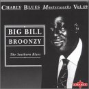 Review Big Bill Broonzy  / Southern Blues