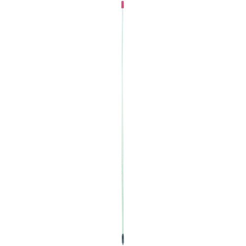 New-FRANCIS 300-CB24W 100-WATT HOT ROD FIBERGLASS ANTENNA (WHITE) - BRJ300CB24W New-FRANCIS 300-CB24W 100-WATT HOT ROD FIBERGLASS ANTENNA (WHITE) - BRJ300CB24W