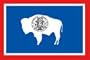 New Large 3x5 Wyoming State Flag US USA American Flags