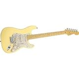 Fender(R) 010-1202-700 American Deluxe Stratocaster(R) Electric Guitar