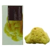 Korres Large Sponge Natural Body Sponge 1 sponge