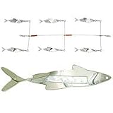 6-Pack Schoolie