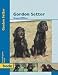 Gordon Setter