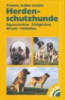 Herdenschutzhunde