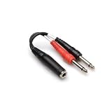 Stereo Y-Cable 1/4" Trsf To Dual 1/4" Ts With White Earbud Headphones