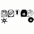 Sierra International 18-3389 Marine Water Pump Kit with Housing for Johnson/Evinrude Outboard Motor