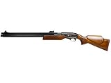 Sam Yang Recluse Air Rifle air rifle