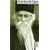 Rabindranath Tagore: Mit Selbstzeugnissen und Bilddokumenten