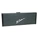 Musical Instruments : Molded Hardshell Case