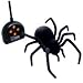 Remote Controlled Black Widow