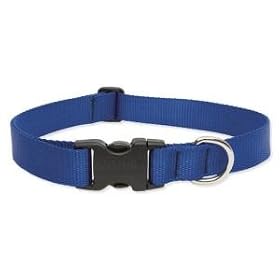 Lupine Large Dog Collar - Solid Purple 12-20 Inches