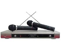Two Channel Wireless Hand Held Microphone System