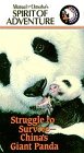 Struggle to Survive: China's Giant Panda