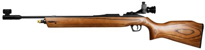 Daisy Outdoor Products CO2 38.5 Inch)