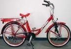 GreenLine Ladies 24