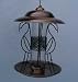 Sporting Goods : BIRDS OF PARADISE LANTERN 2