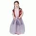 Fairy Princess Ball Gown Skirt