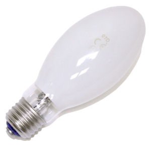 Iwasaki 40535 - HF75-PD Light Bulb