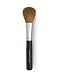 Bare Escentuals Tapered Blush Brush