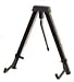 Musical Instruments : Crystalcello AC210 Cello Stand