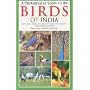 A Photographic Guide to the Birds of India: Including Nepal, Sri Lanka, the Maldives, Pakistan, Bangladesh and Bhutan (Helm Field Guides)