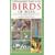 A Photographic Guide to the Birds of India: Including Nepal, Sri Lanka, the Maldives, Pakistan, Bangladesh and Bhutan (Helm Field Guides)