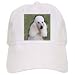 Dogs Poodle - Standard Poodle - Caps