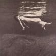 Undercurrent