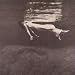 ��Undercurrent [Original recording remastered]Bill Evans, Jim Hall